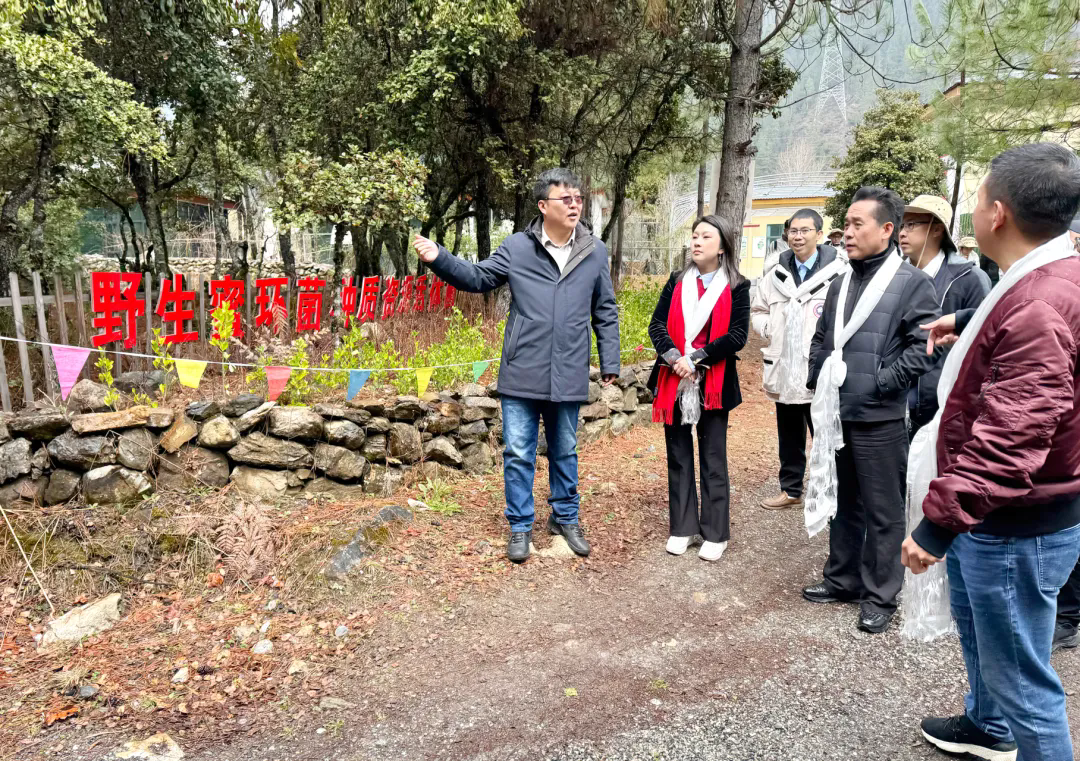 广州澳门永利皇宫官网入口治理集团赴西藏波密县开展交流相助_企业动态_澳门永利皇宫官网入口官网 - Powered by 广州广府通讯息科技有限公司